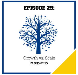 Growth versus Scale in Business